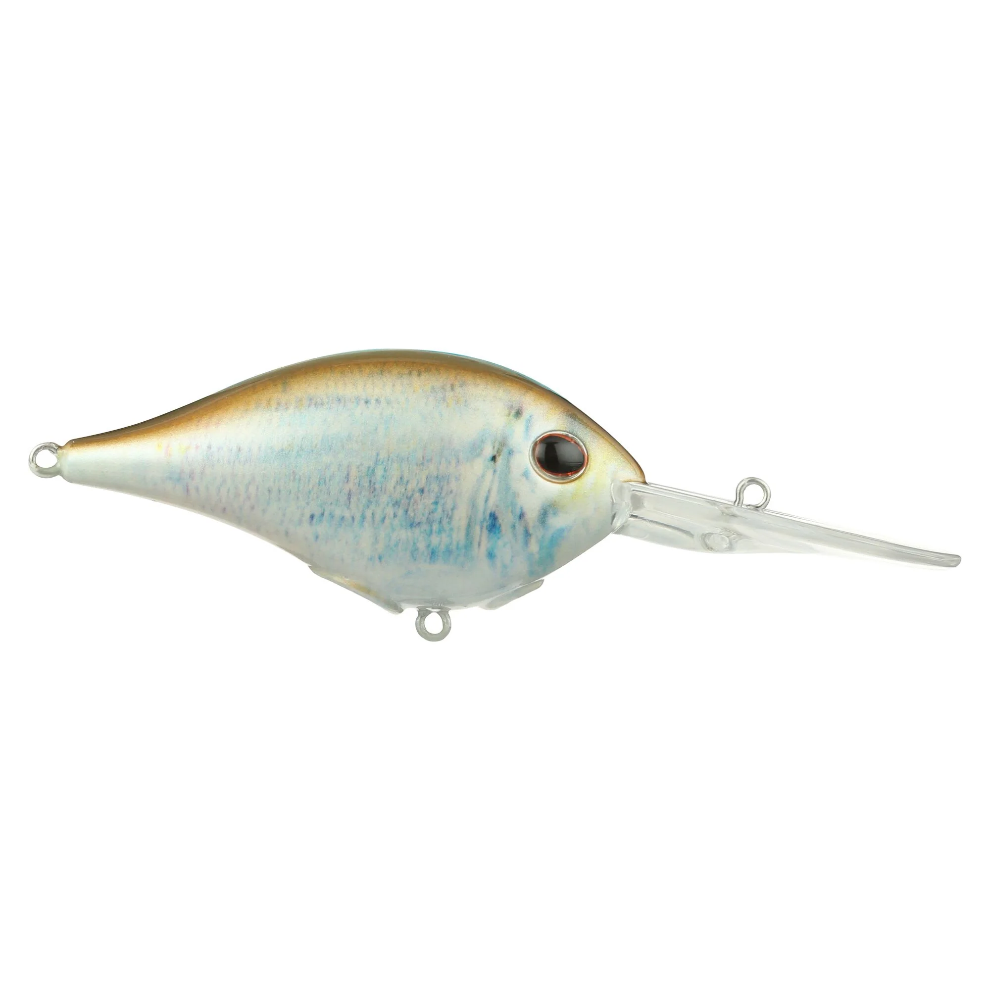 Berkley Dime - Image 157