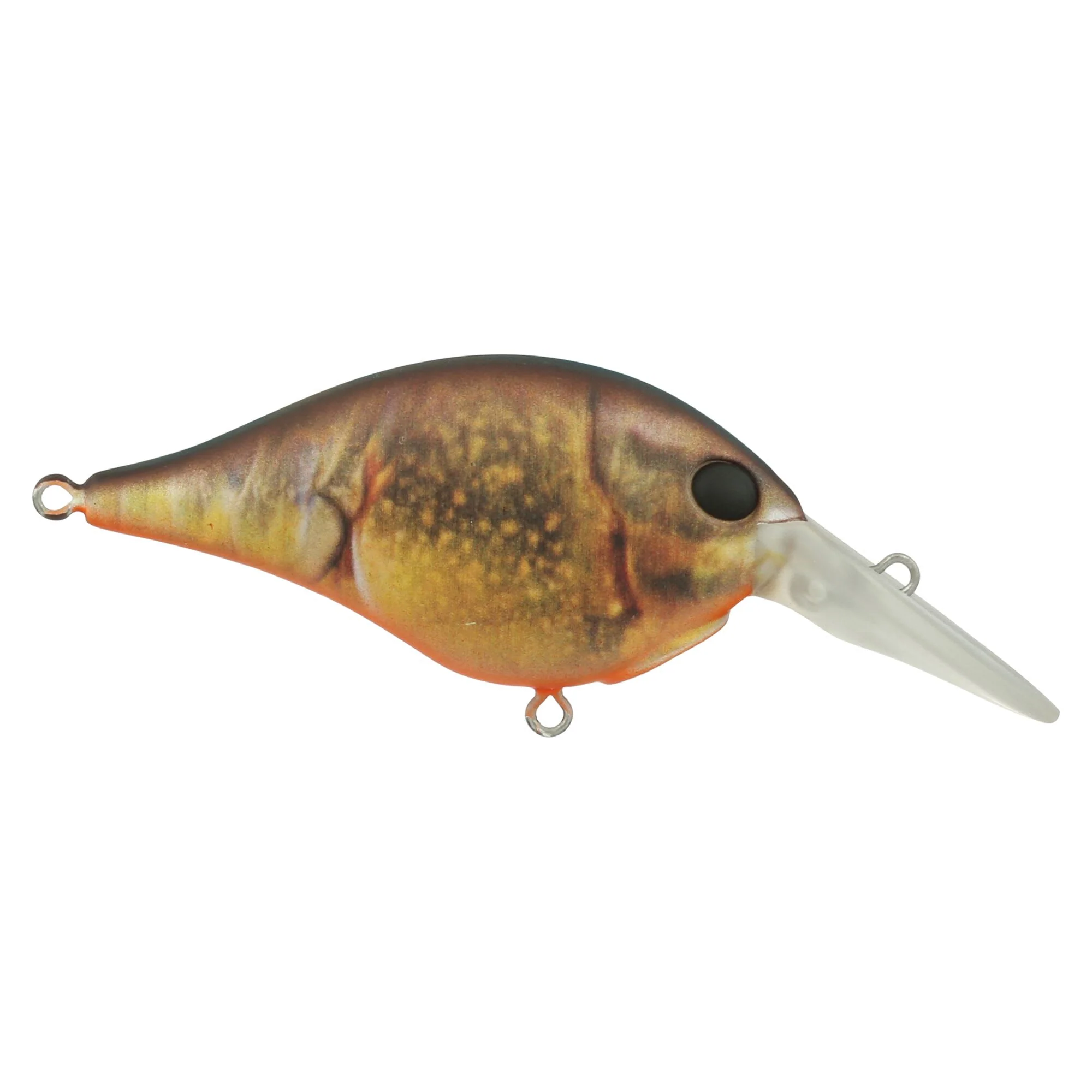 Berkley Dime - Image 90