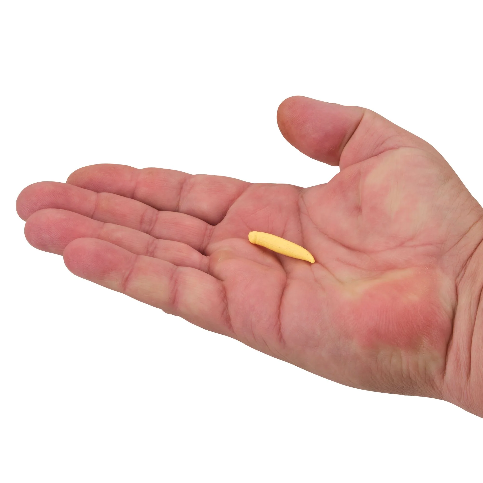 Berkley Gulp!® Floating Pinched Crawler - Image 9