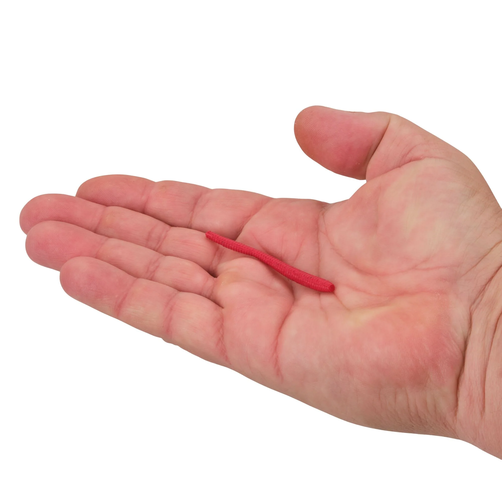 Berkley Gulp!® Floating Trout Worm - Image 10