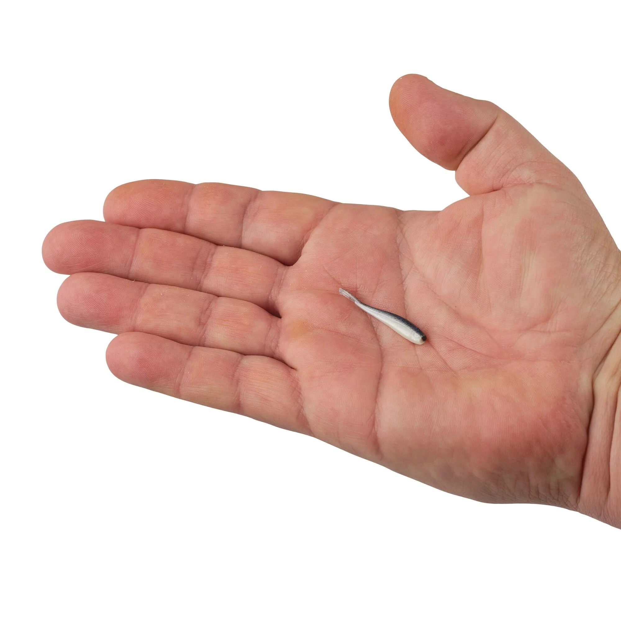 Berkley Gulp!® Minnow - Image 65