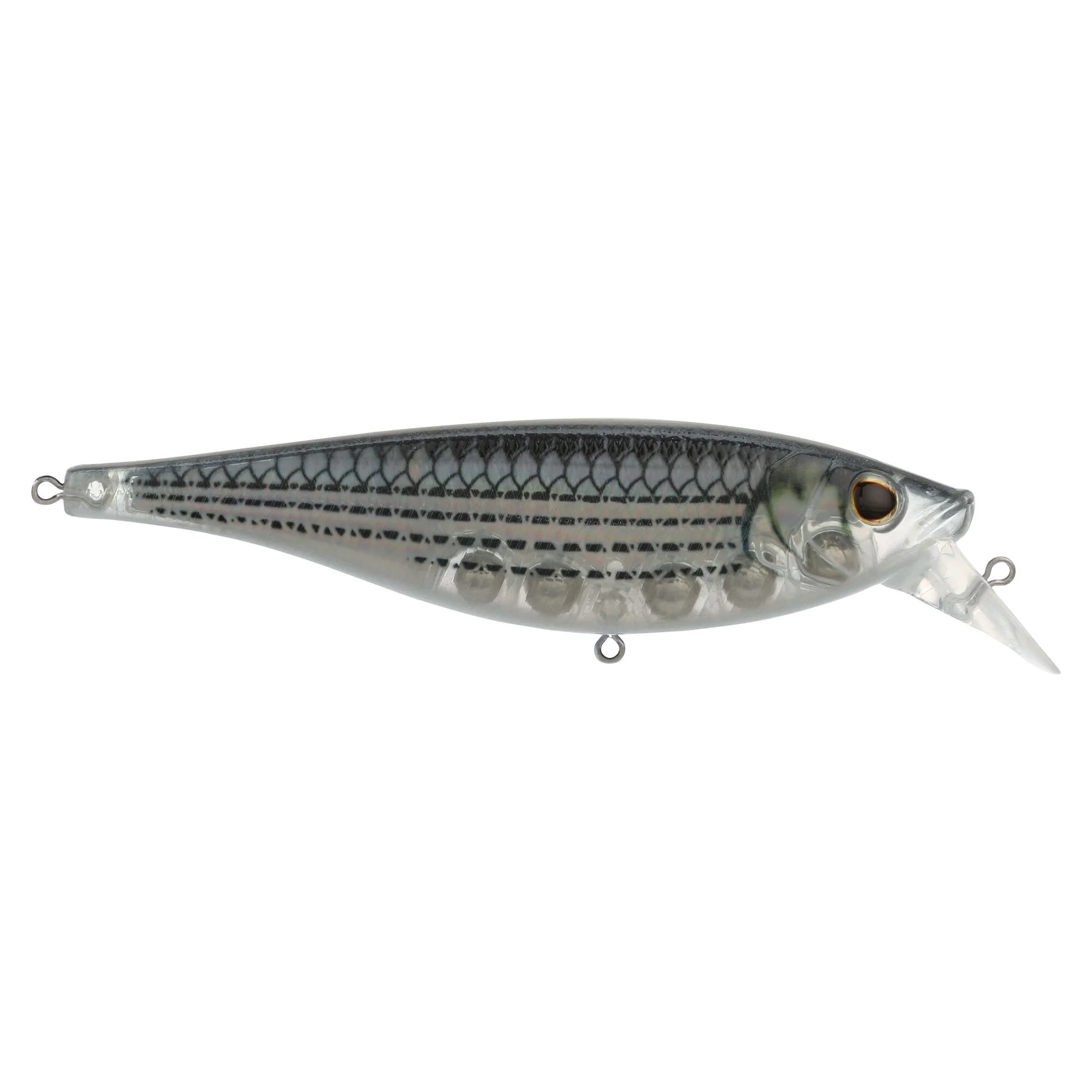 Berkley Juke Saltwater - Image 64