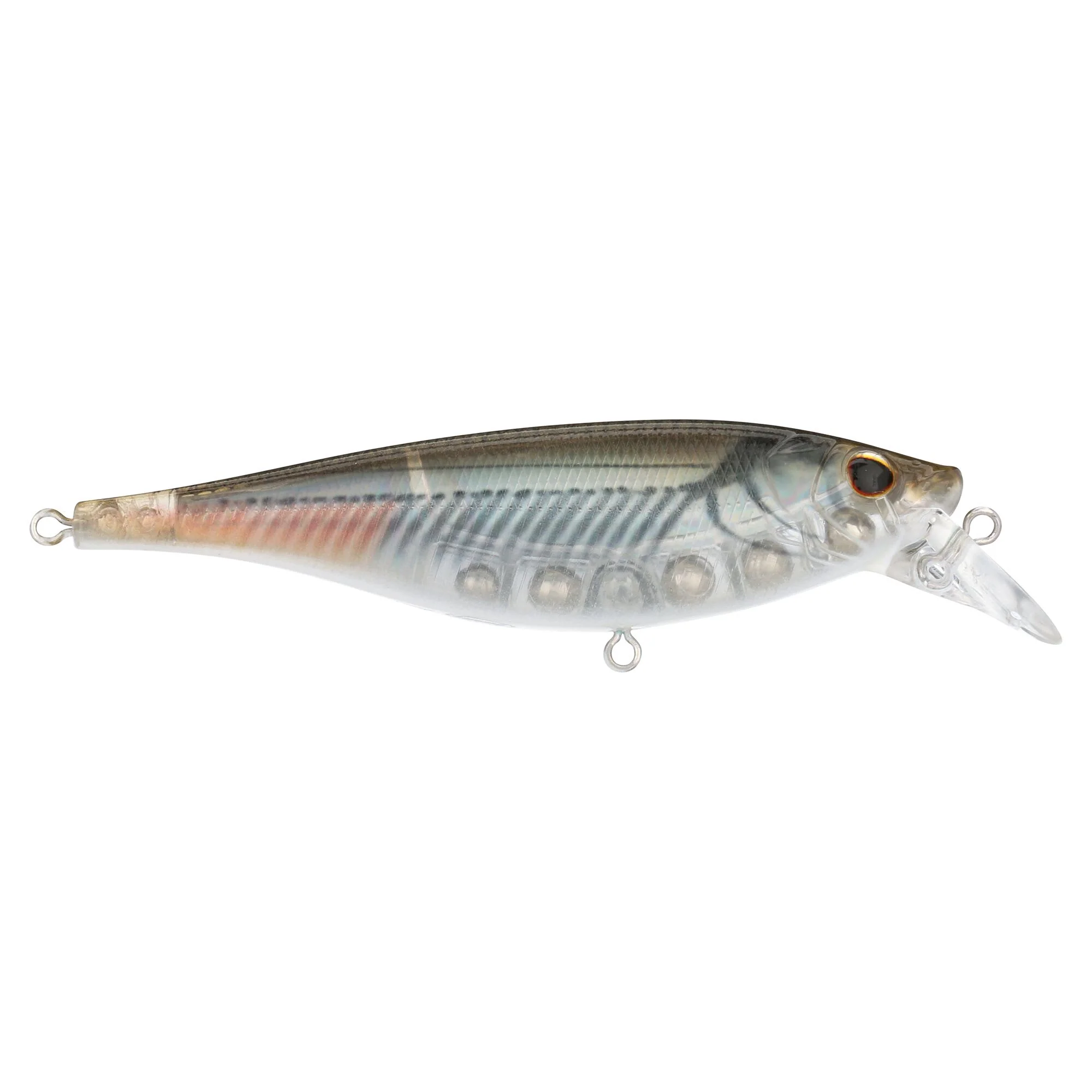 Berkley Juke Saltwater - Image 73