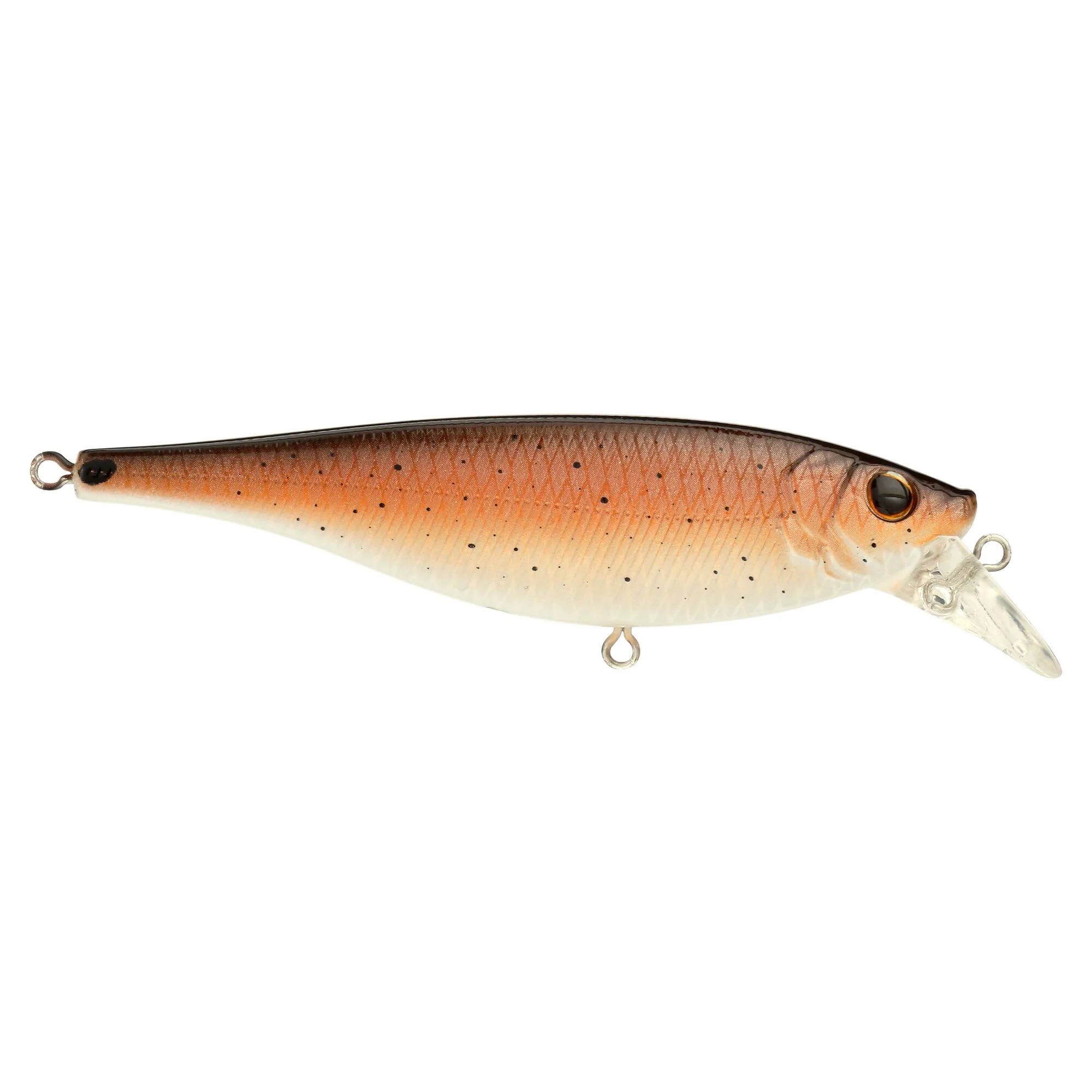 Berkley Juke Saltwater - Image 79