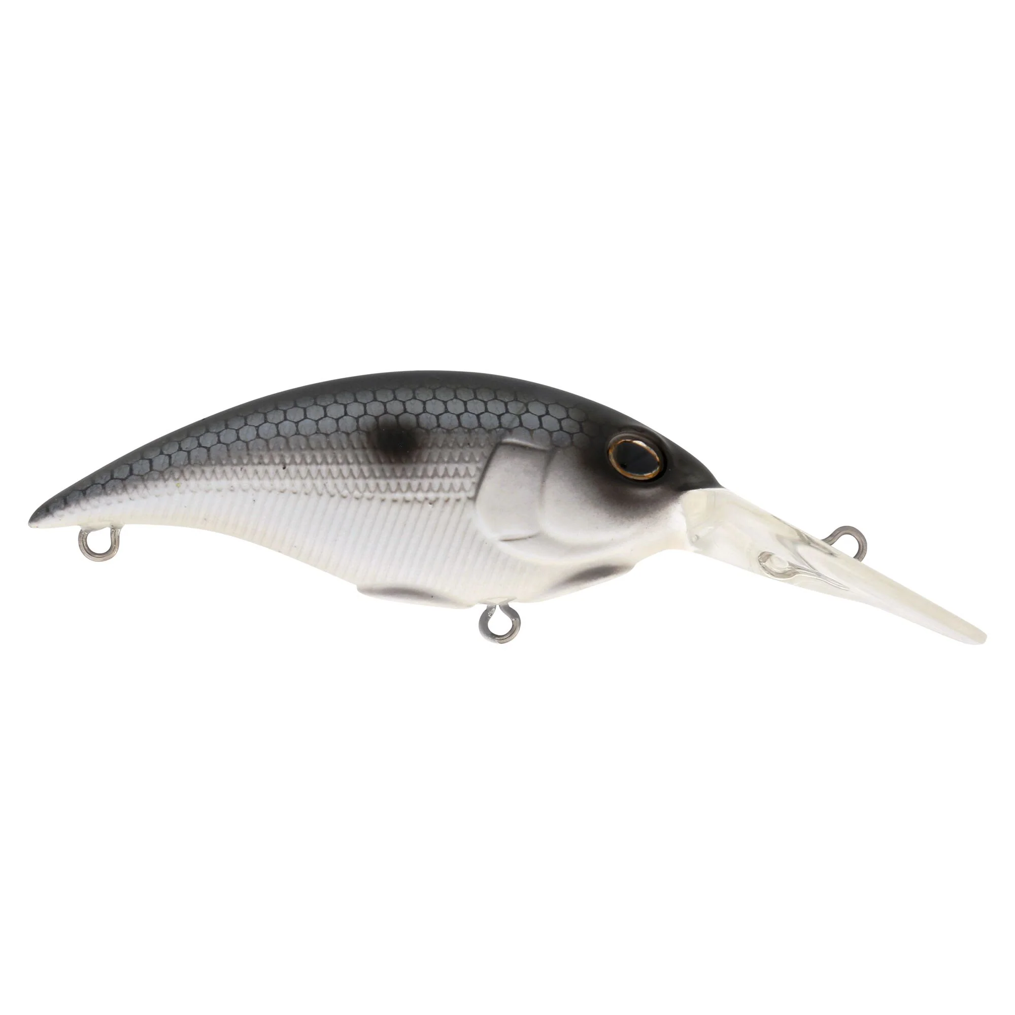 Berkley Money Badger - Image 245