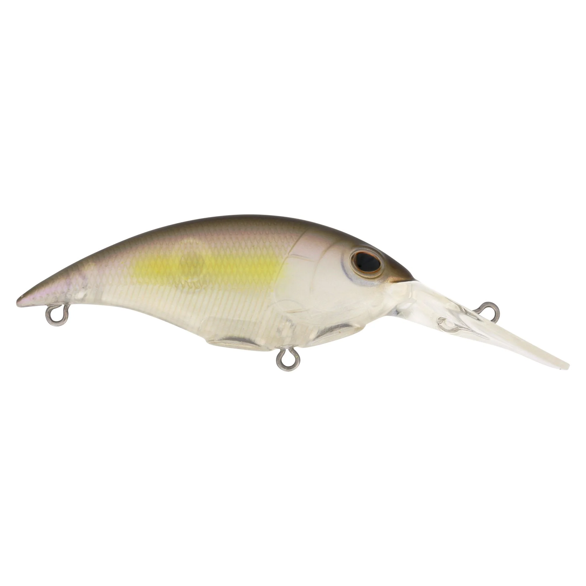 Berkley Money Badger - Image 247