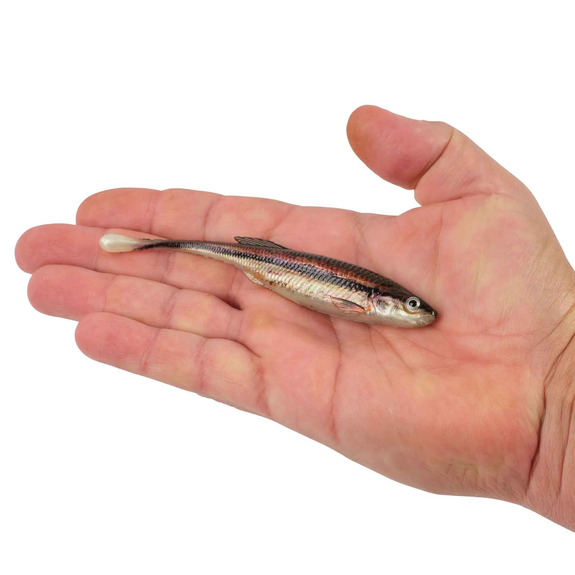 Berkley PowerBait® Drip Minnow - Image 107
