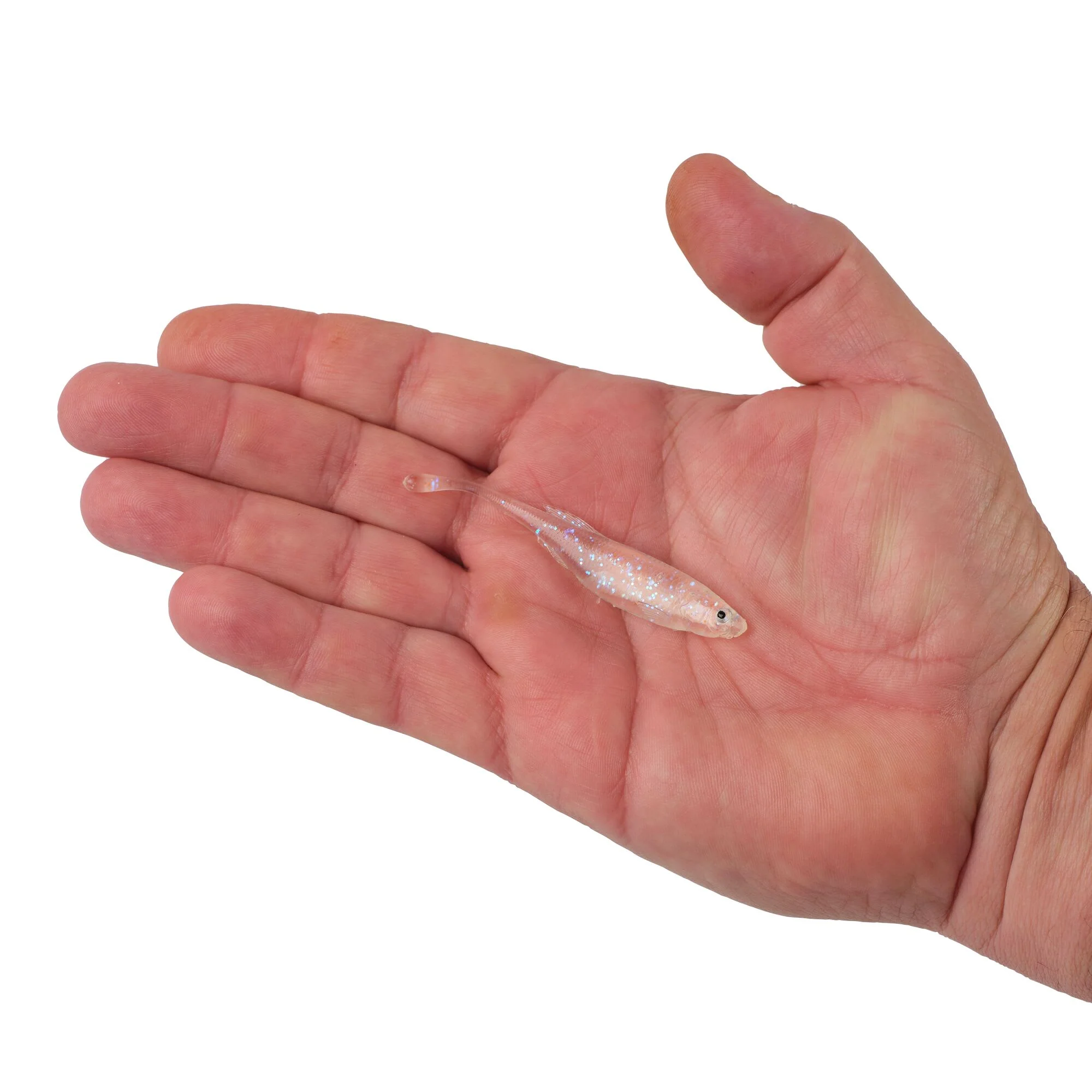 Berkley PowerBait® Drip Minnow - Image 114