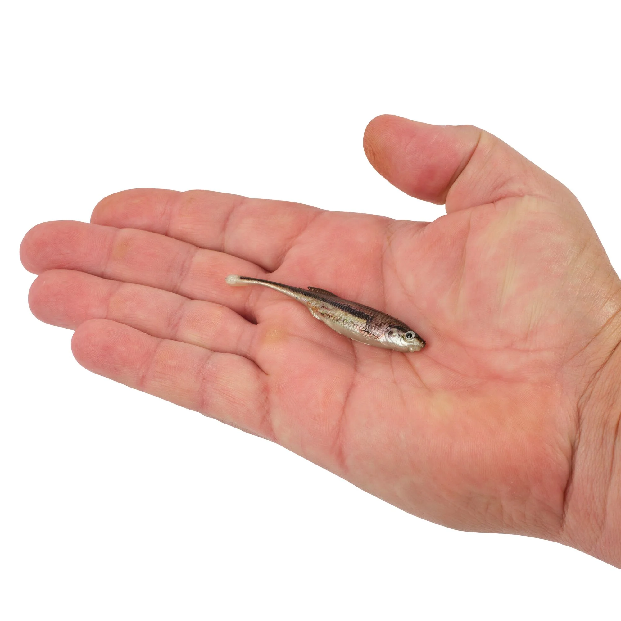 Berkley PowerBait® Drip Minnow - Image 79