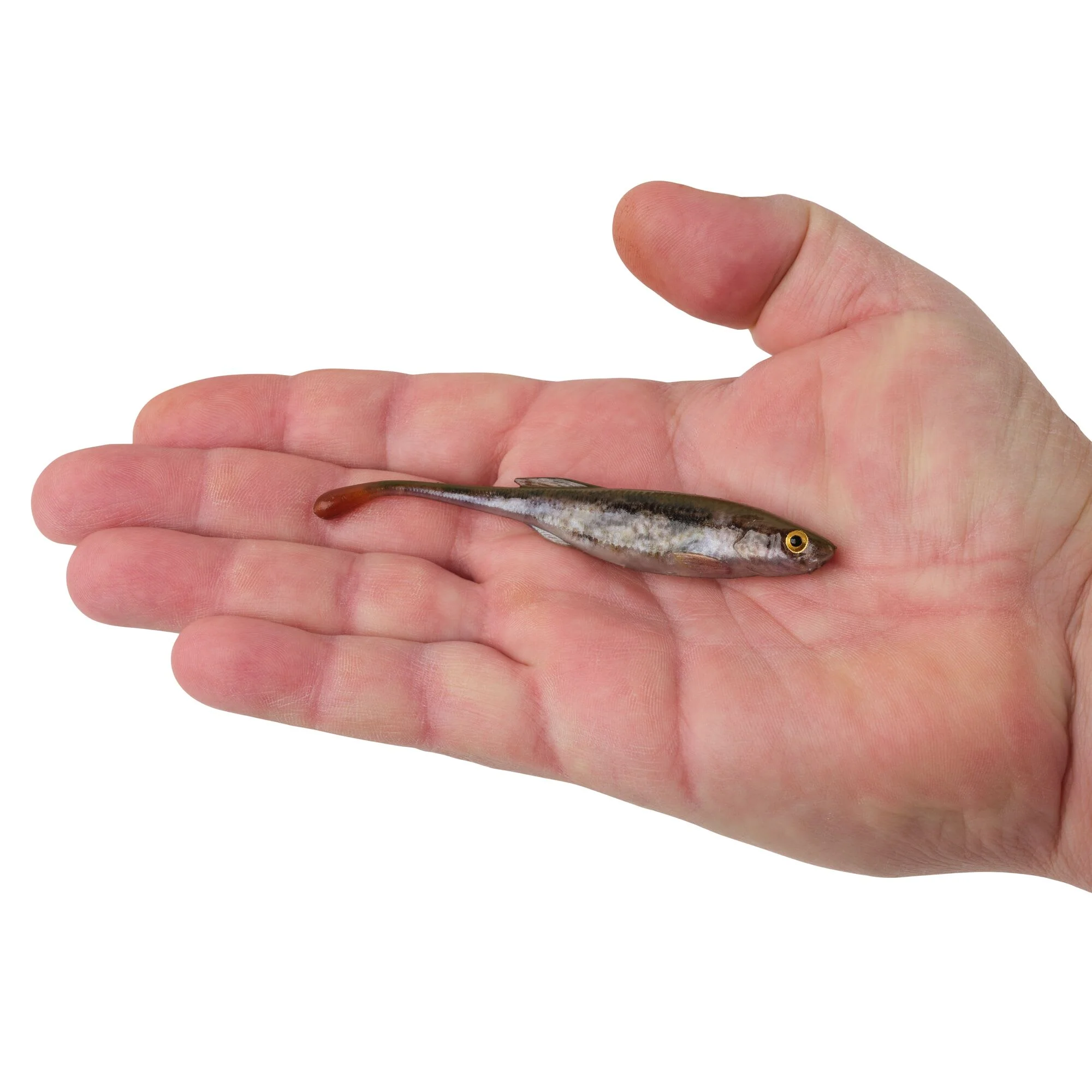 Berkley PowerBait® Drip Minnow - Image 92