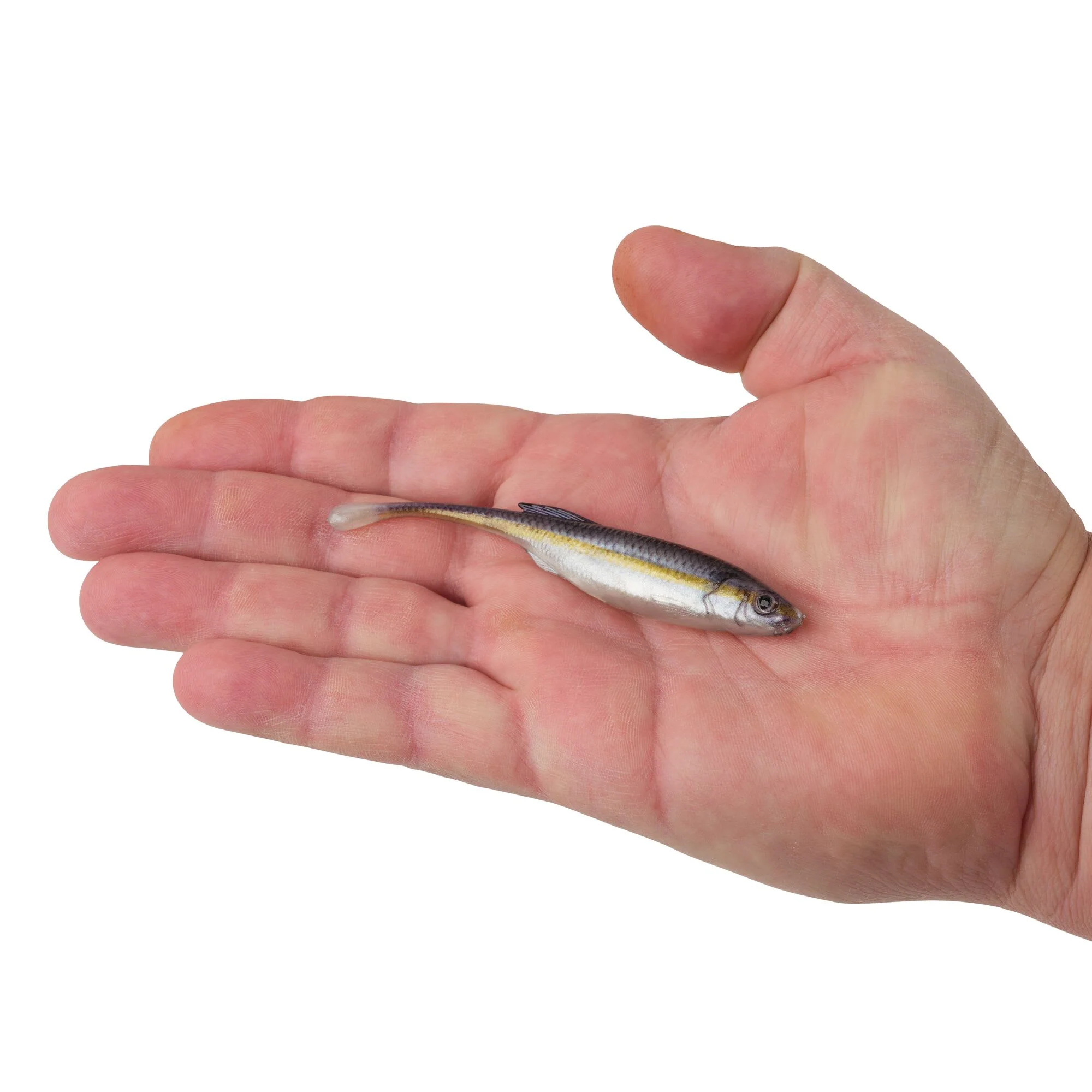 Berkley PowerBait® Drip Minnow - Image 96