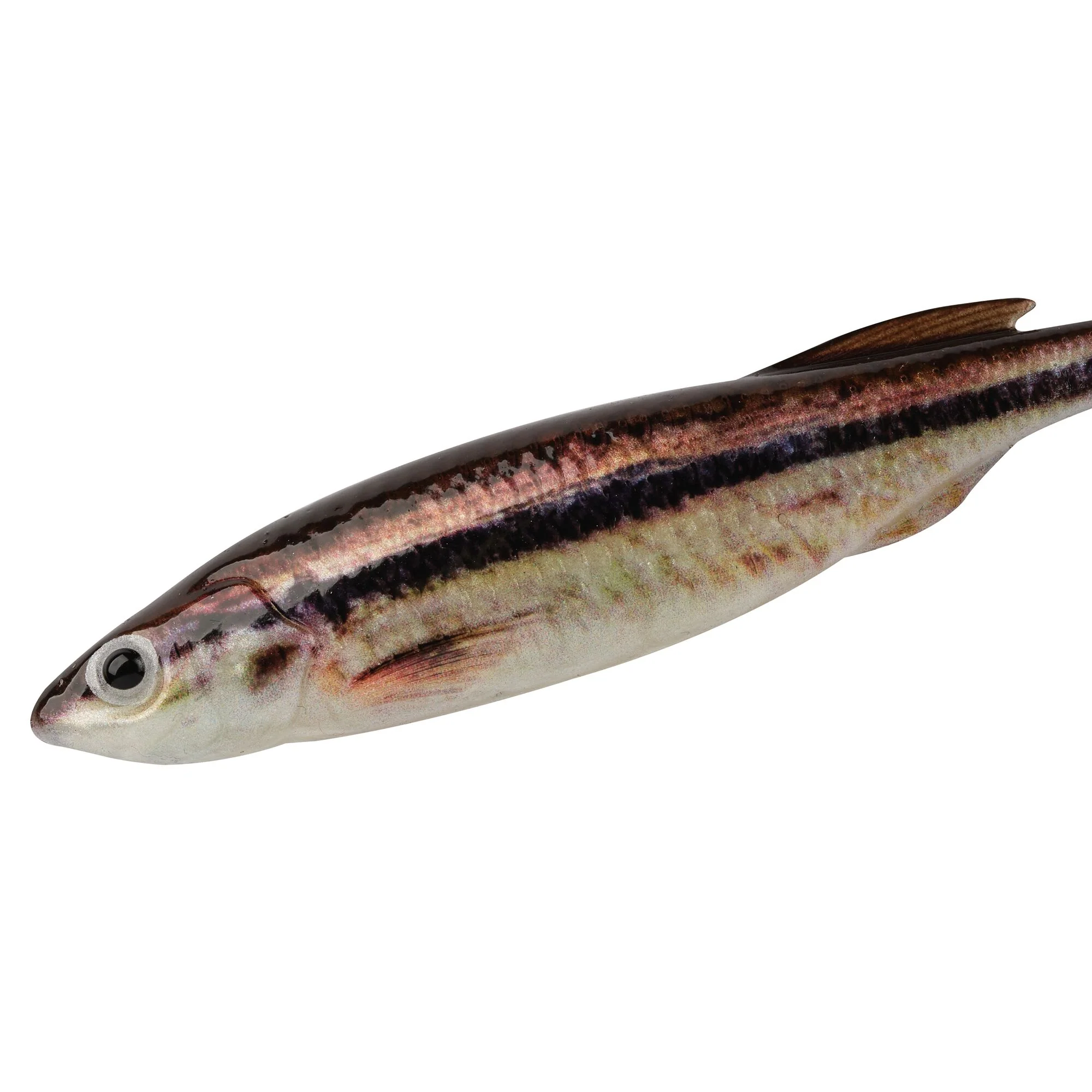 Berkley PowerBait® Drip Swimmer - Image 24