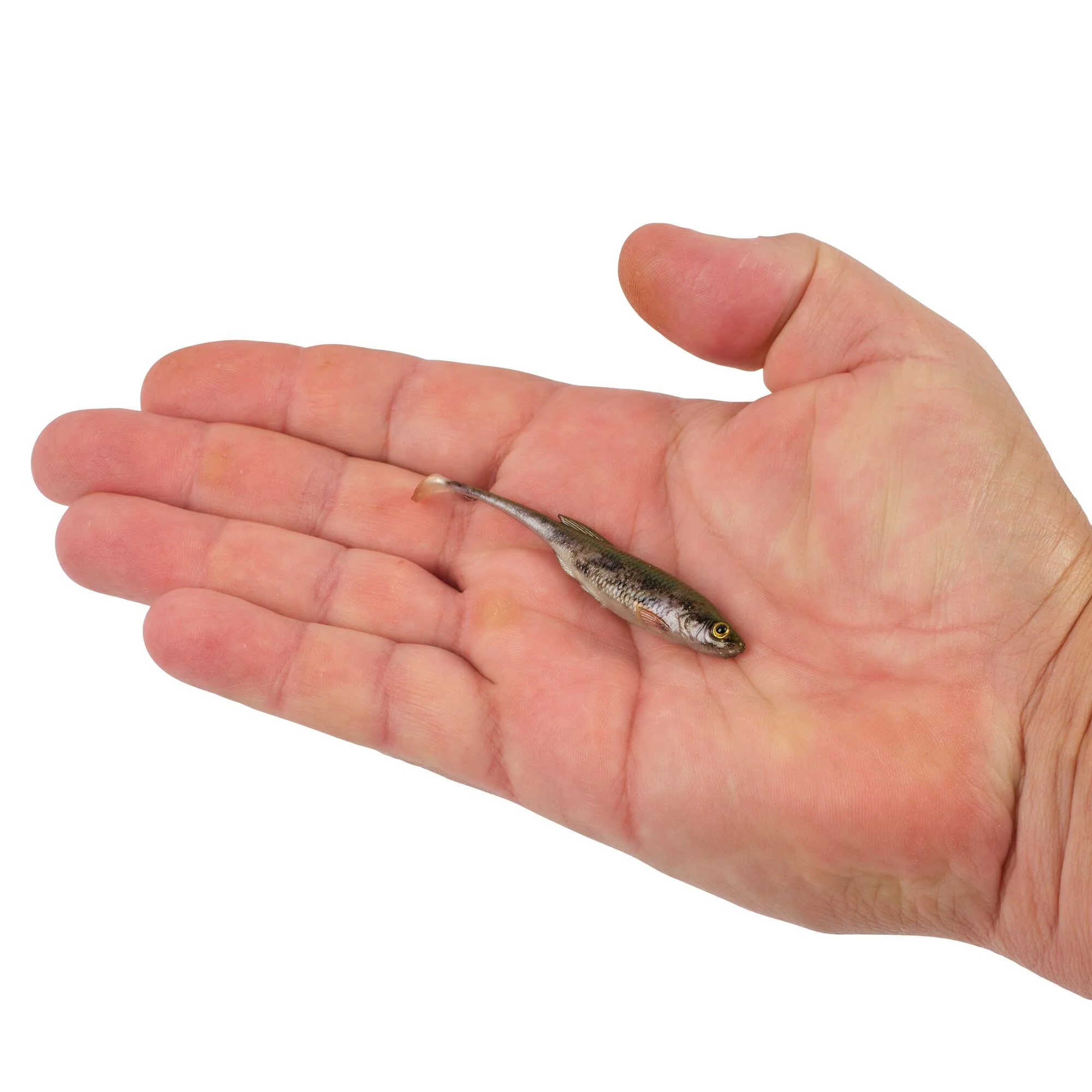Berkley PowerBait® Drip Swimmer - Image 51
