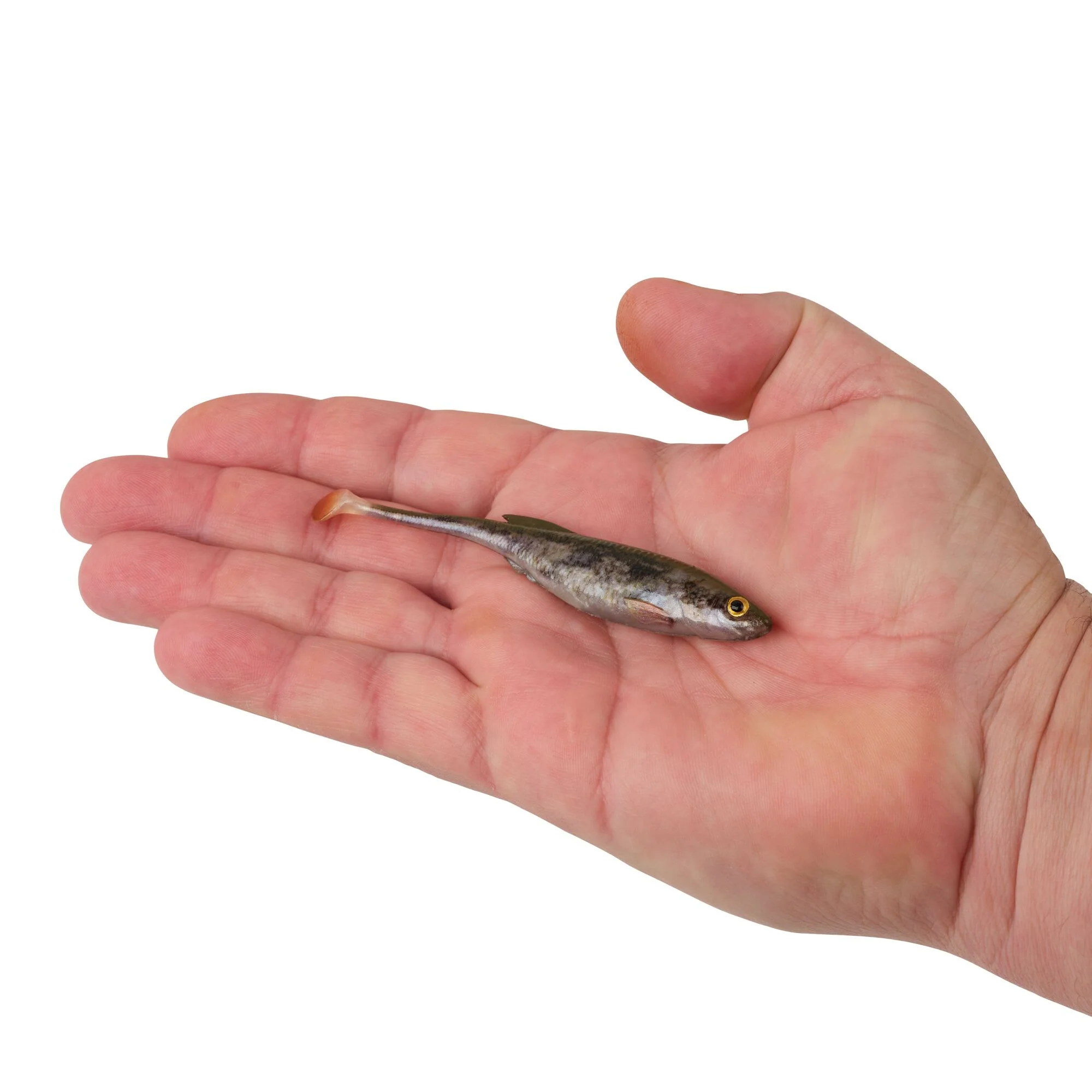 Berkley PowerBait® Drip Swimmer - Image 65