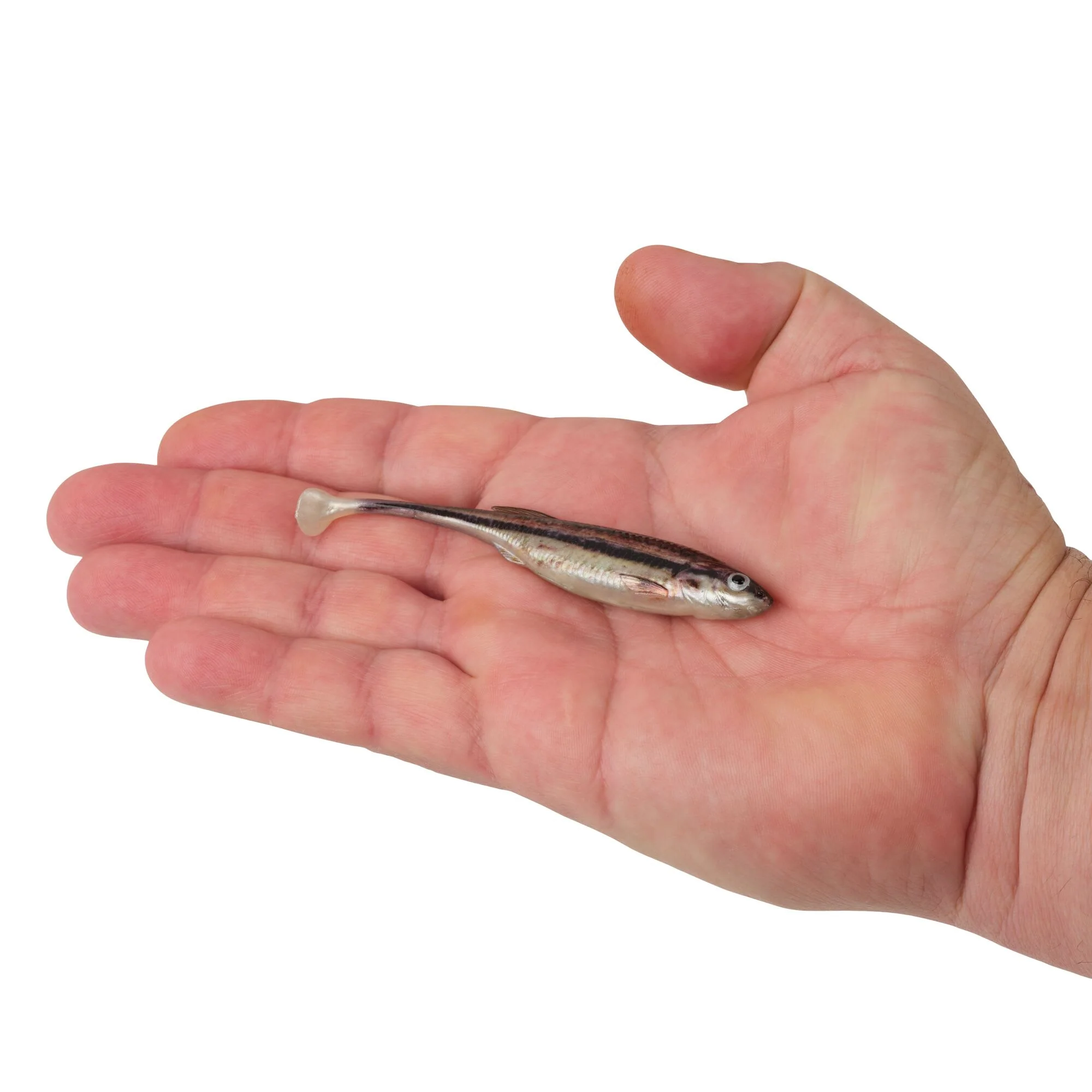 Berkley PowerBait® Drip Swimmer - Image 66