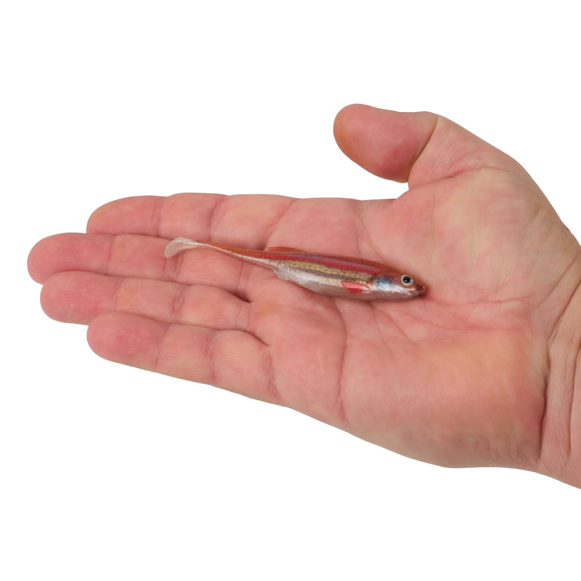 Berkley PowerBait® Drip Swimmer - Image 68