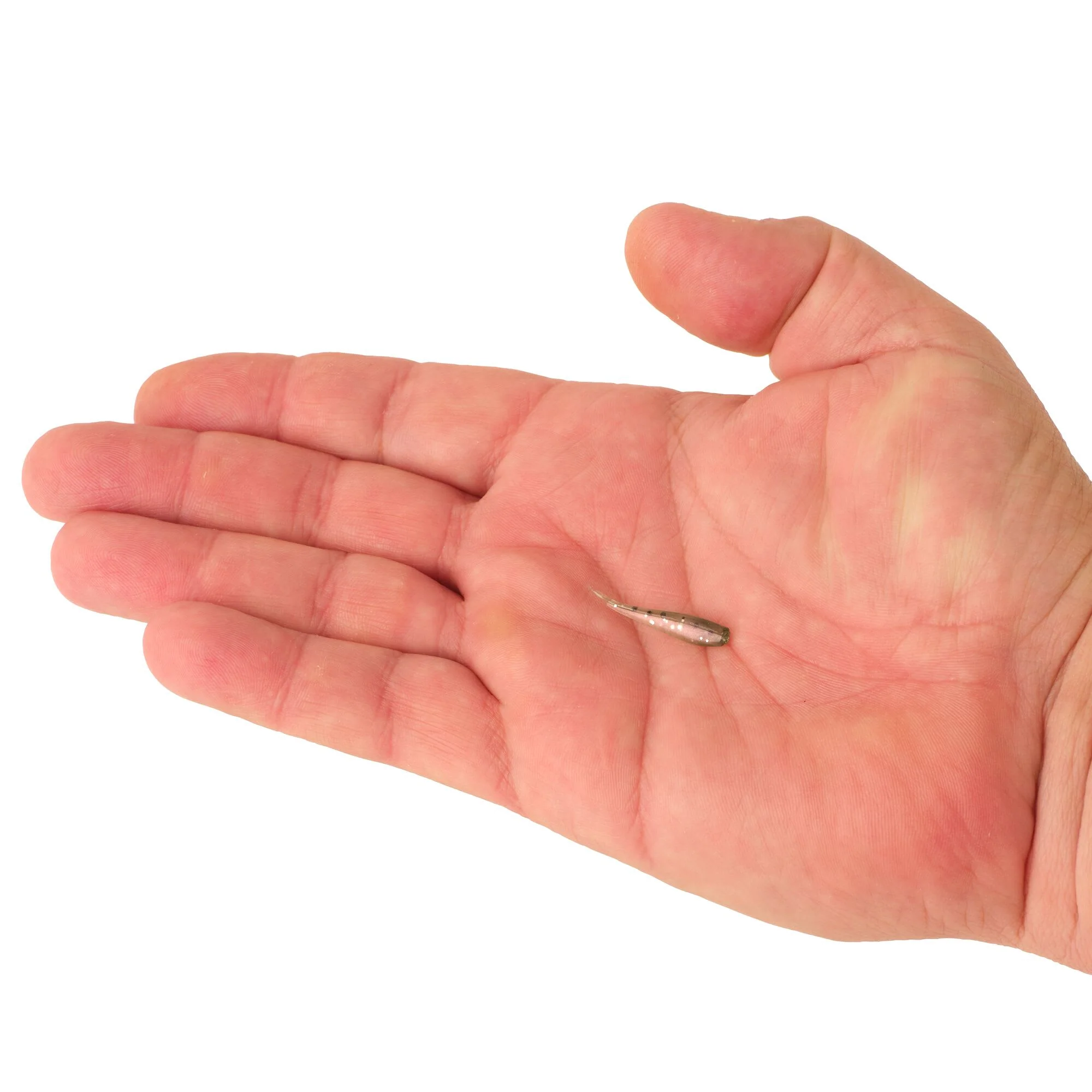 Berkley PowerBait® Minnow - Image 35