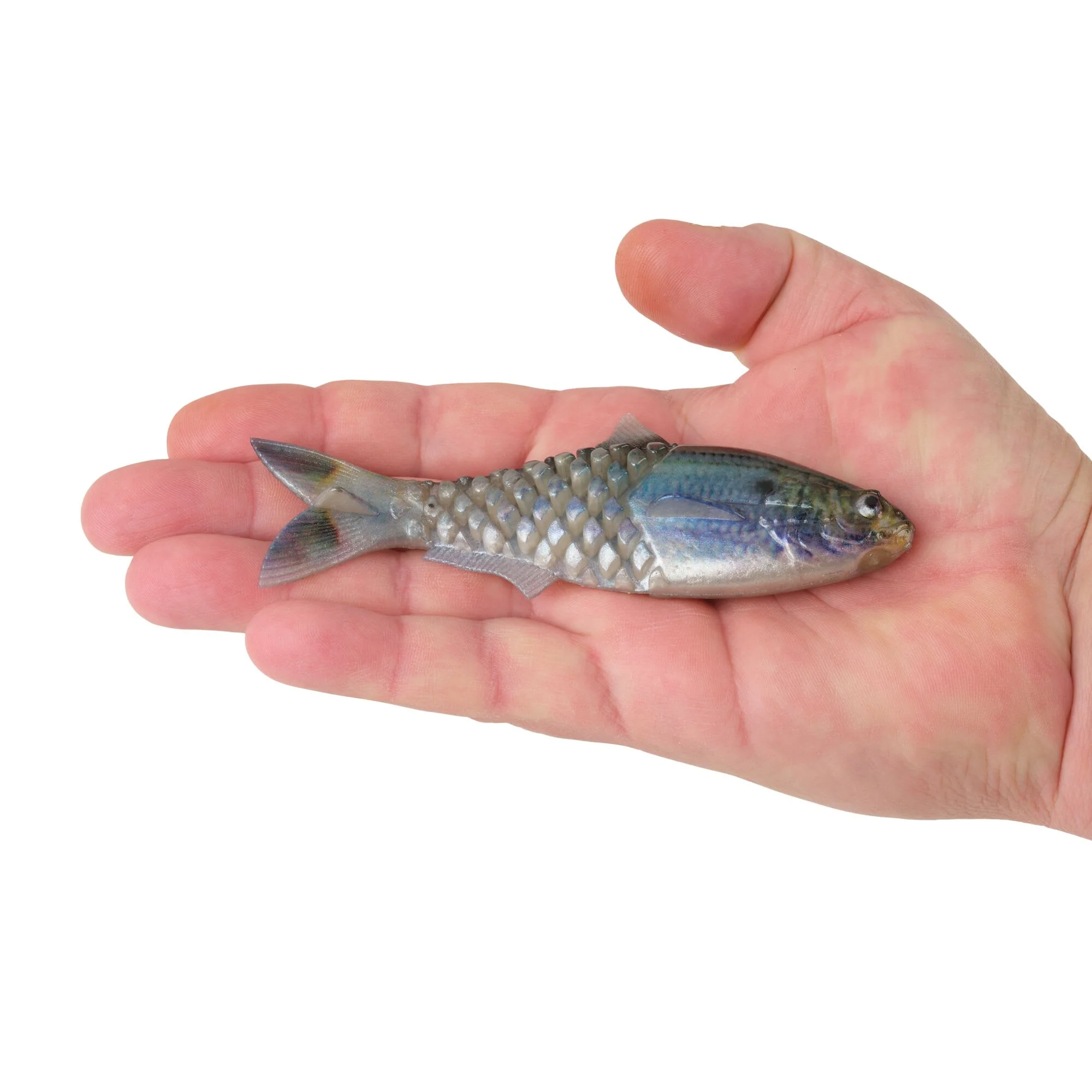 Berkley PowerBait® Saltwater Gillydine - Image 11