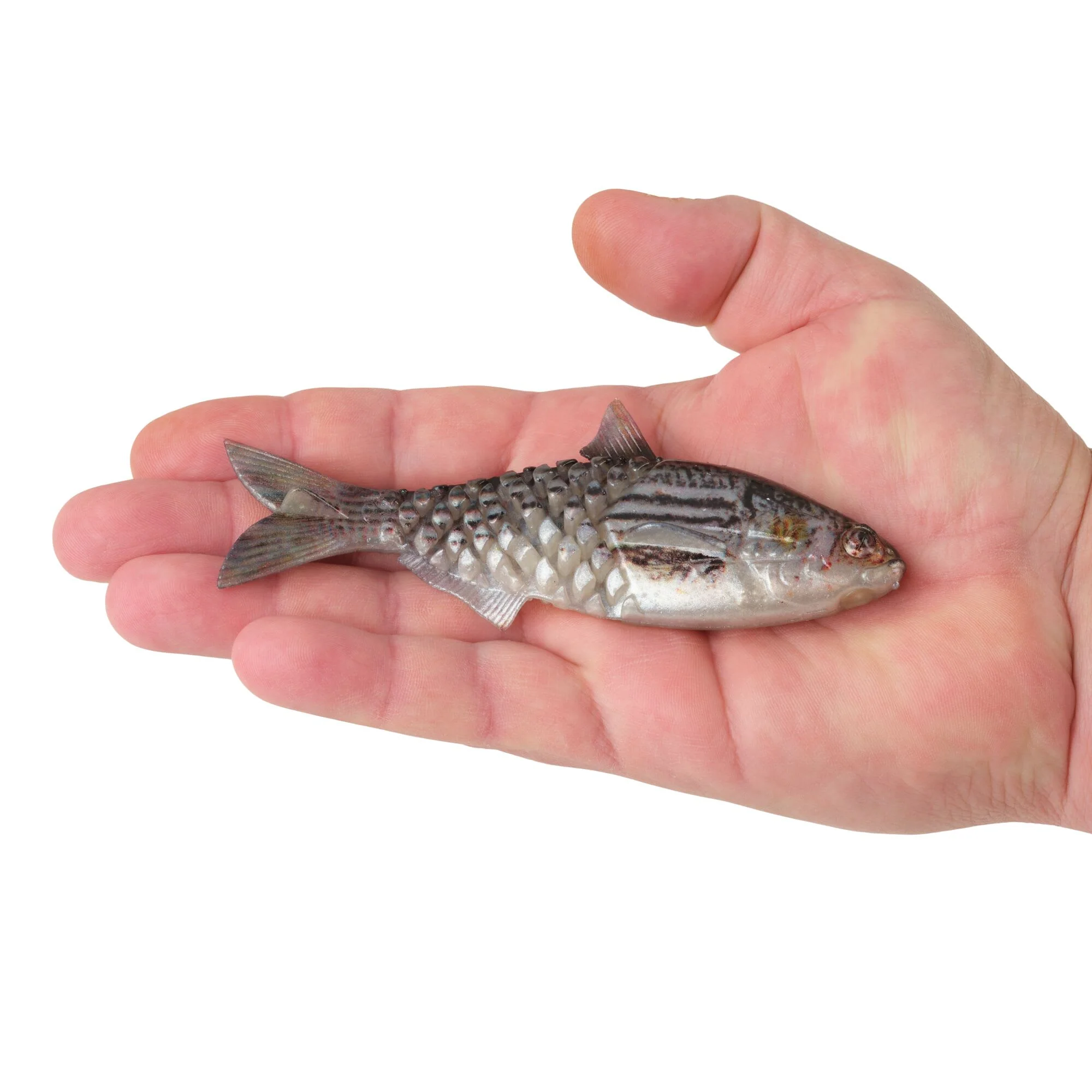 Berkley PowerBait® Saltwater Gillydine - Image 12