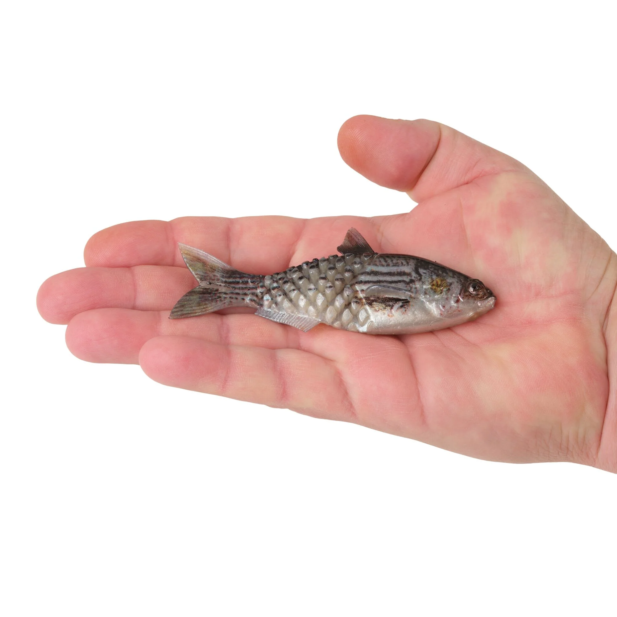 Berkley PowerBait® Saltwater Gillydine - Image 7