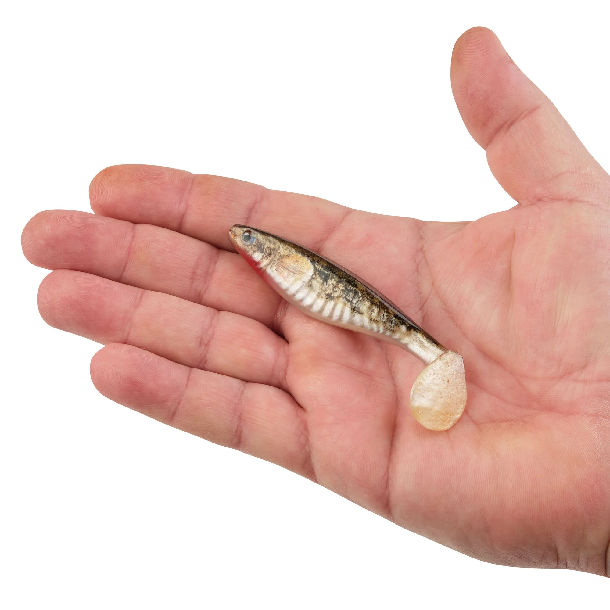 Berkley PowerBait® The Champ Swimmer - Image 79