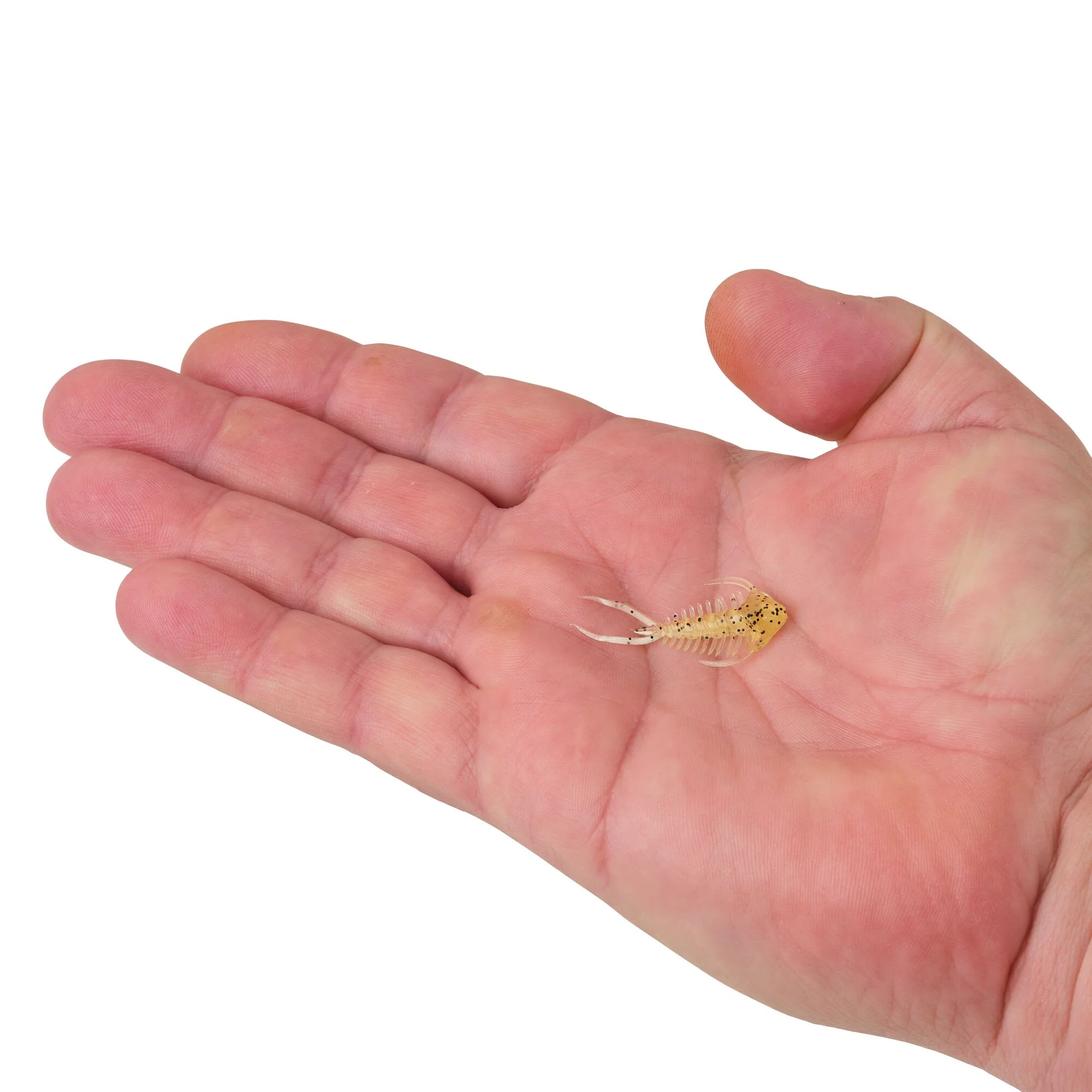 Berkley PowerBait® Trilobite - Image 12