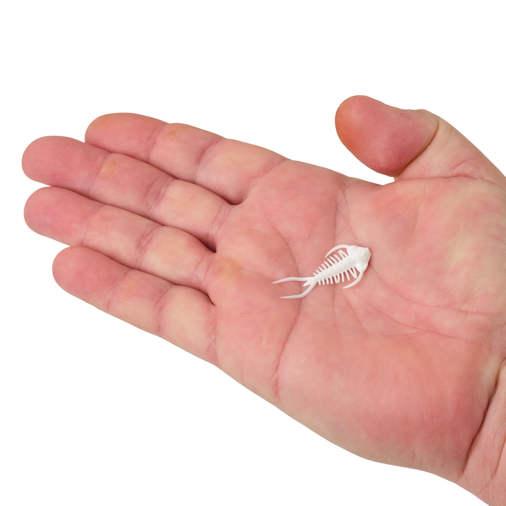 Berkley PowerBait® Trilobite - Image 19