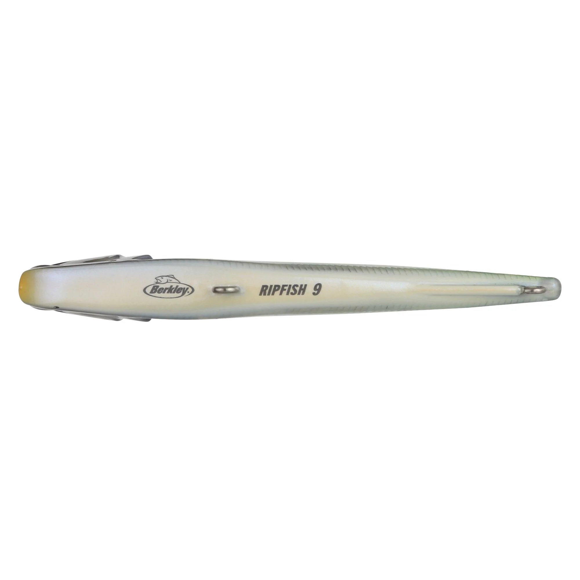 Berkley Ripfish - Image 132