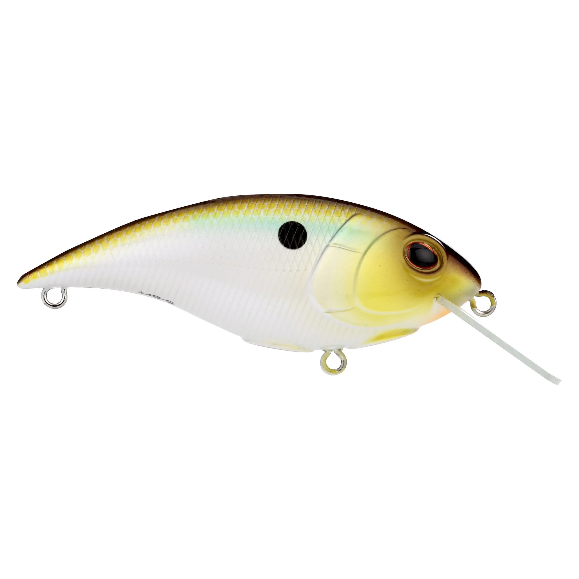 Berkley Shallow Money Badger - Image 108