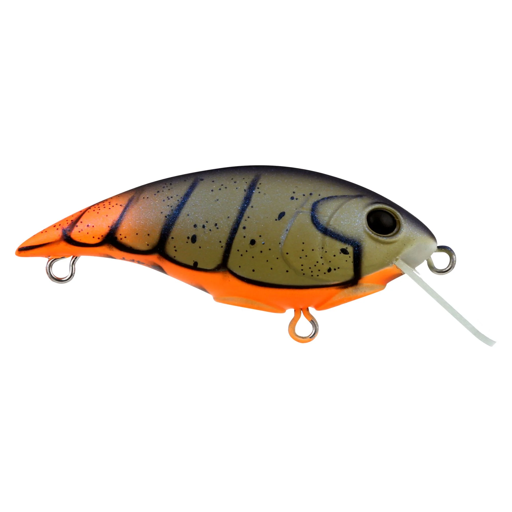 Berkley Shallow Money Badger - Image 6