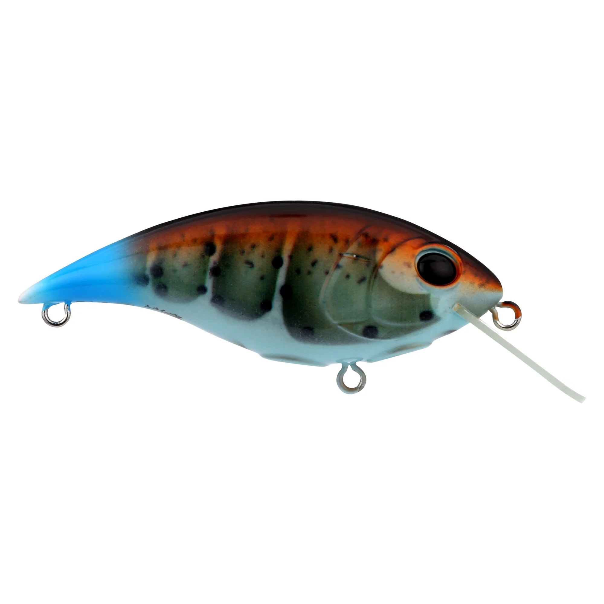Berkley Shallow Money Badger - Image 78