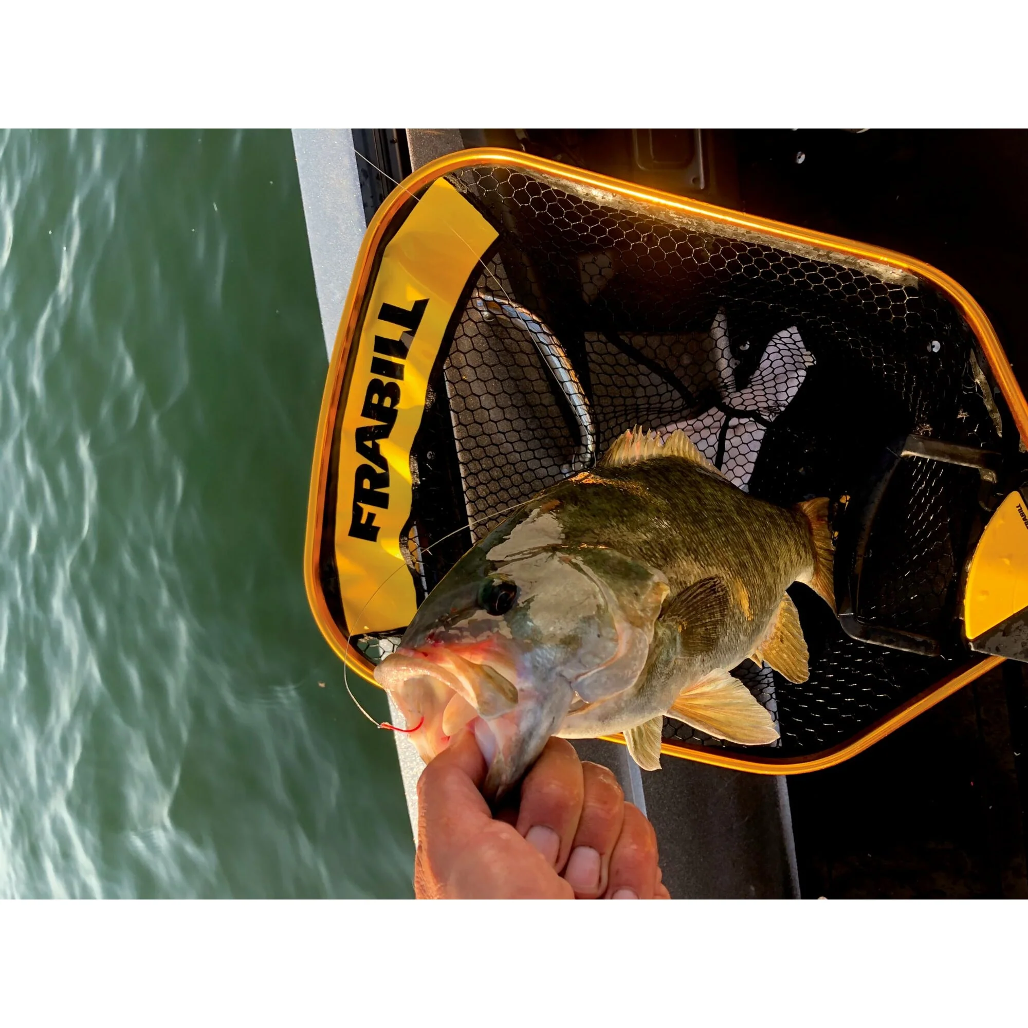 Frabill Power Extend Trophy Haul™ Net - Image 10
