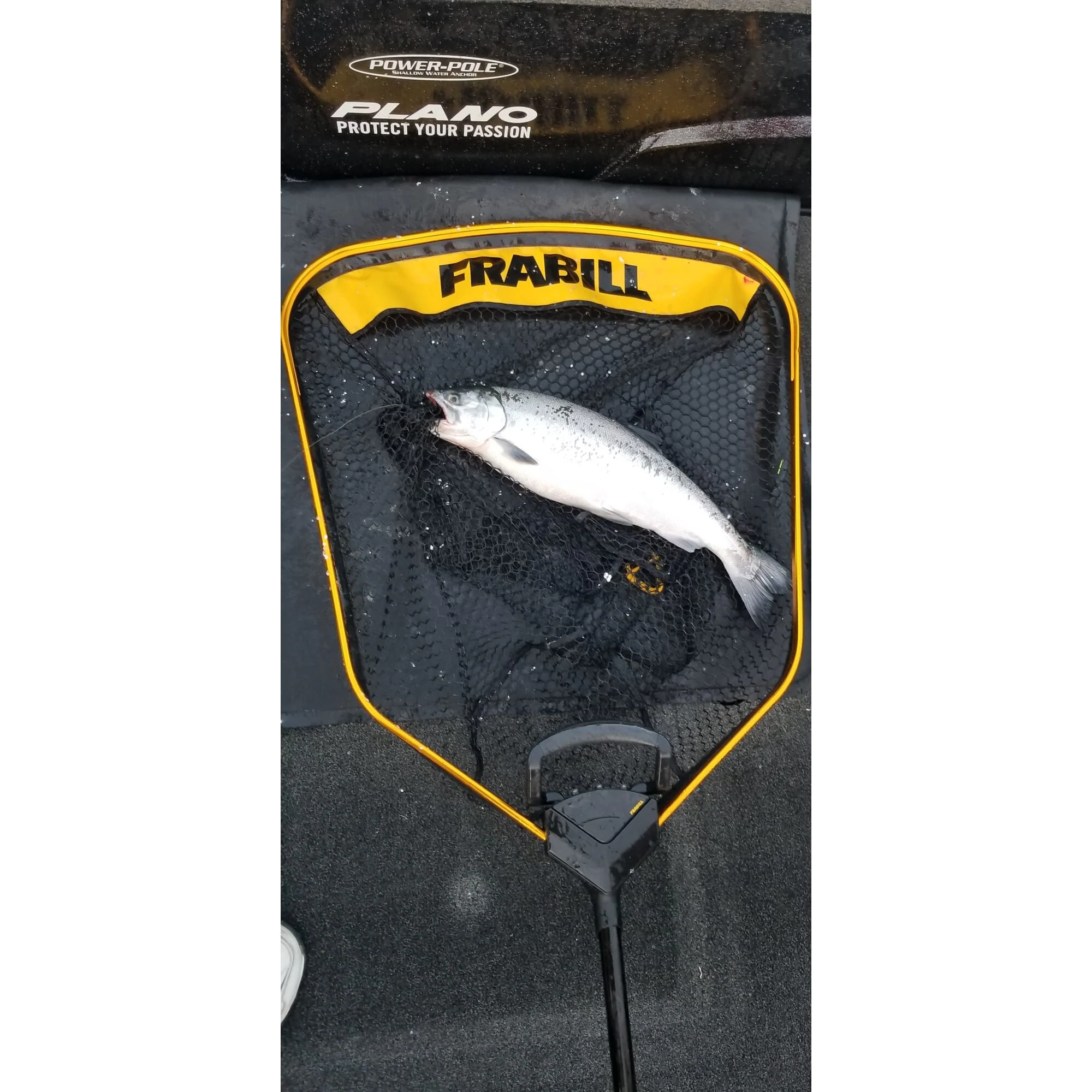 Frabill Power Extend Trophy Haul™ Net - Image 11